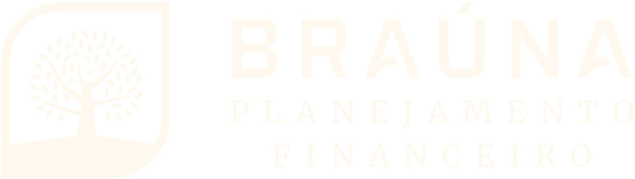 Braúna Planejamento Financeiro